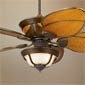 Ceiling Fans