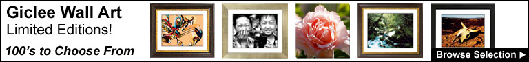 Limited Edition Framed Art
