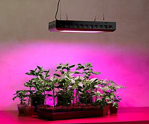 What are grow lights