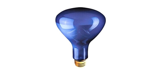 A blue-colored incandescent grow light bulb. An example of incandescent grow light bulb.
