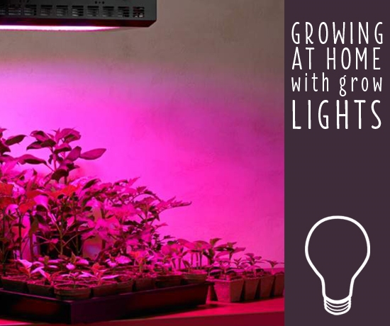 Vellykket fætter Nat How to Choose the Best Grow Lights for Indoor Plants - Ideas & Advice |  Lamps Plus