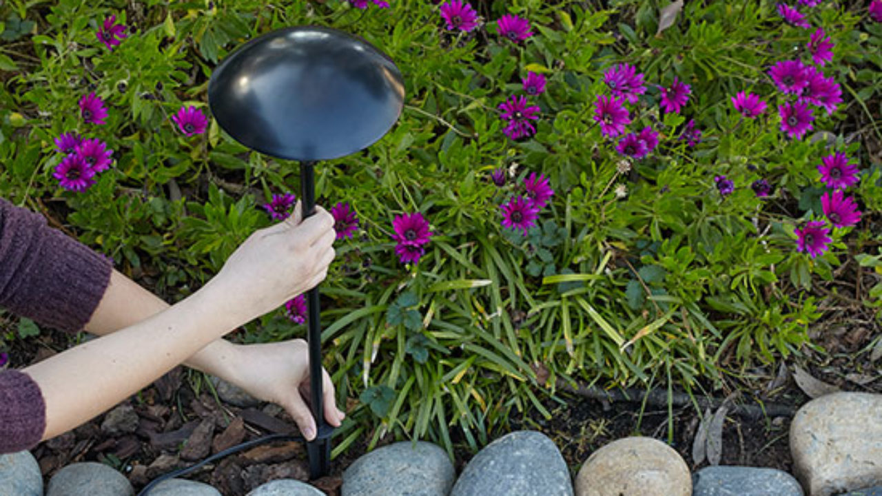 3 Must-Haves for Installing Low Voltage Landscape Lighting - Ideas