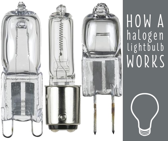 An example of three different halogen bulb styles.