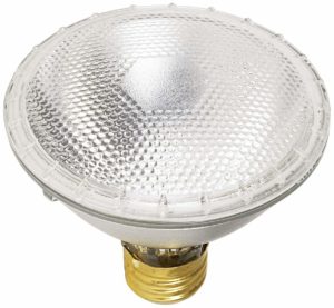 LED Light Bulb Picture