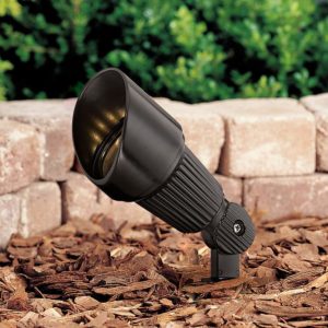 Low Voltage Landscape Spotlight in an Outdoor Garden