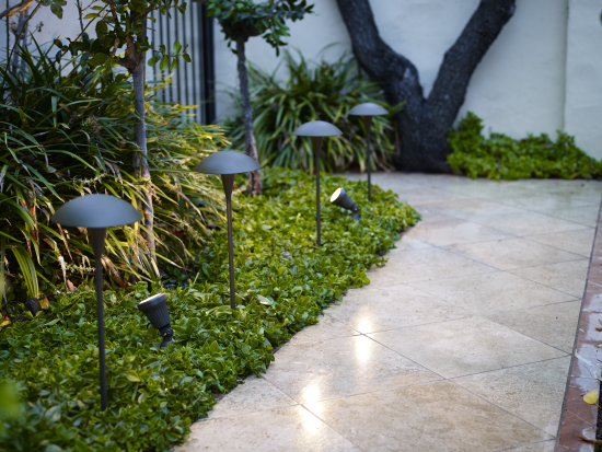 Path lights and spotlights in am outdoor setting,