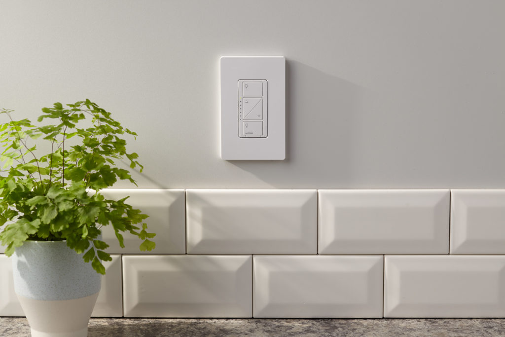 A white dimmer control on a white wall, next to a bi-color vase with a plant.