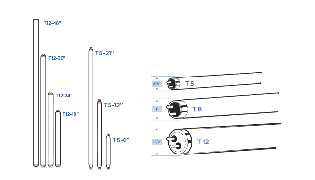 Flourescent Tube Bulb Types