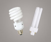 Fluorescent Bulbs