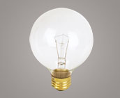 Globe Light Bulbs