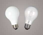 Medium Base Bulbs