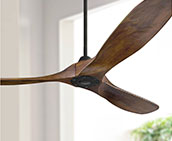 Ceiling Fans
