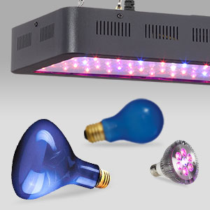 LED grow lights