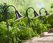 Landscape Lighting