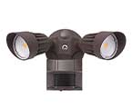 Outdoor Security Lights