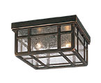 Outdoor Ceiling Lights