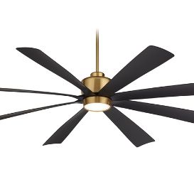 Ceiling Fans