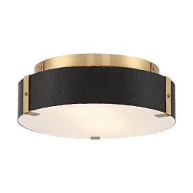 Ceiling Lights